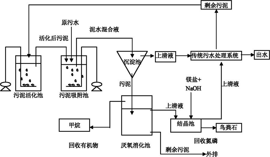 廢水排放的生物學(xué)指標