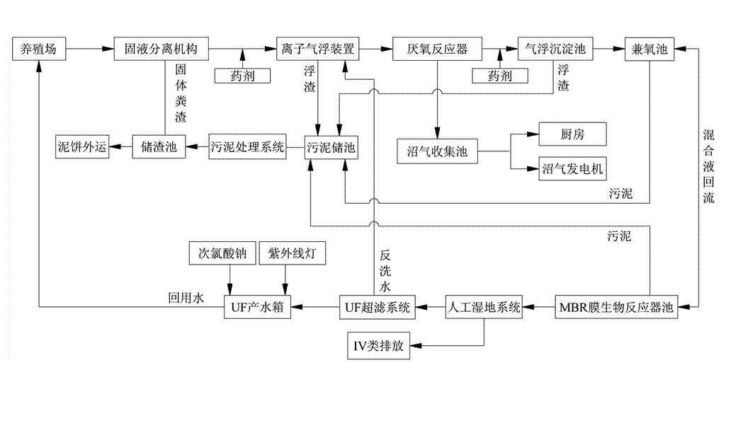 農村養(yǎng)殖戶如何低成本有效處理污水，這兩種做法你應該知道!02