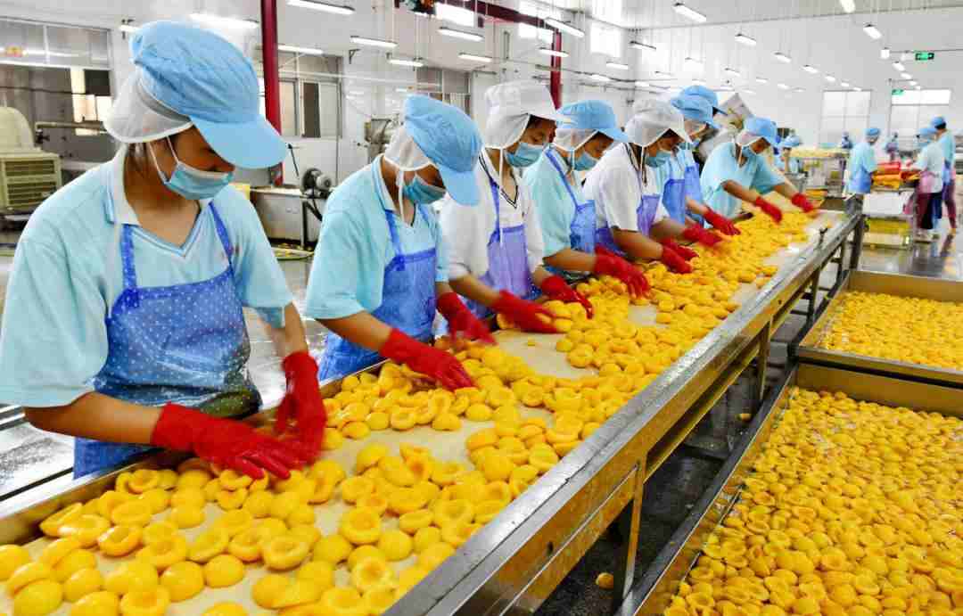 罐頭加工廠廢水處理設(shè)備|方法|排放標準-1