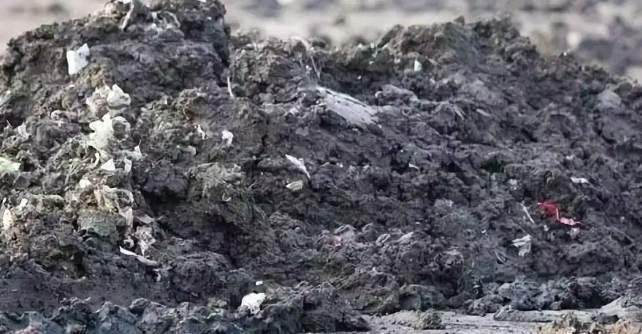 污水處理廠污泥脫水間(污泥脫水車(chē)間工作原理) 污水處理廠污泥脫水間(污泥脫水車(chē)間工作原理)