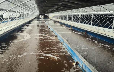 畜禽污水處理的方法、步驟（主流畜禽污水處理工藝有哪些）